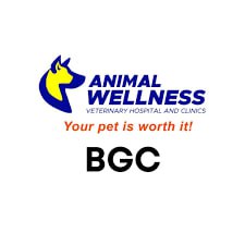 Anytime Fitness Logo