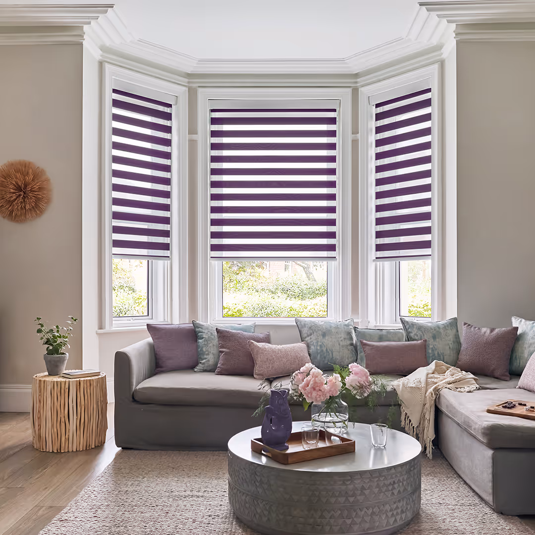 Day & Night (Vision) Blinds