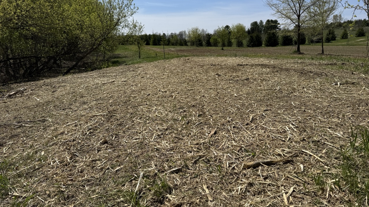 After forestry mulching - same Wisconsin property cleared cleanly with mulch ground cover