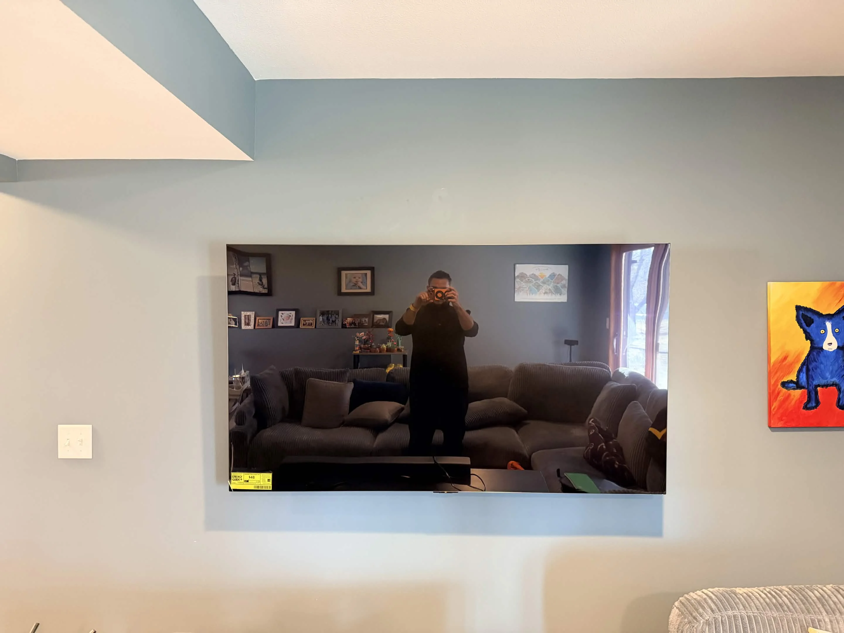 55" LG installation in Eagan