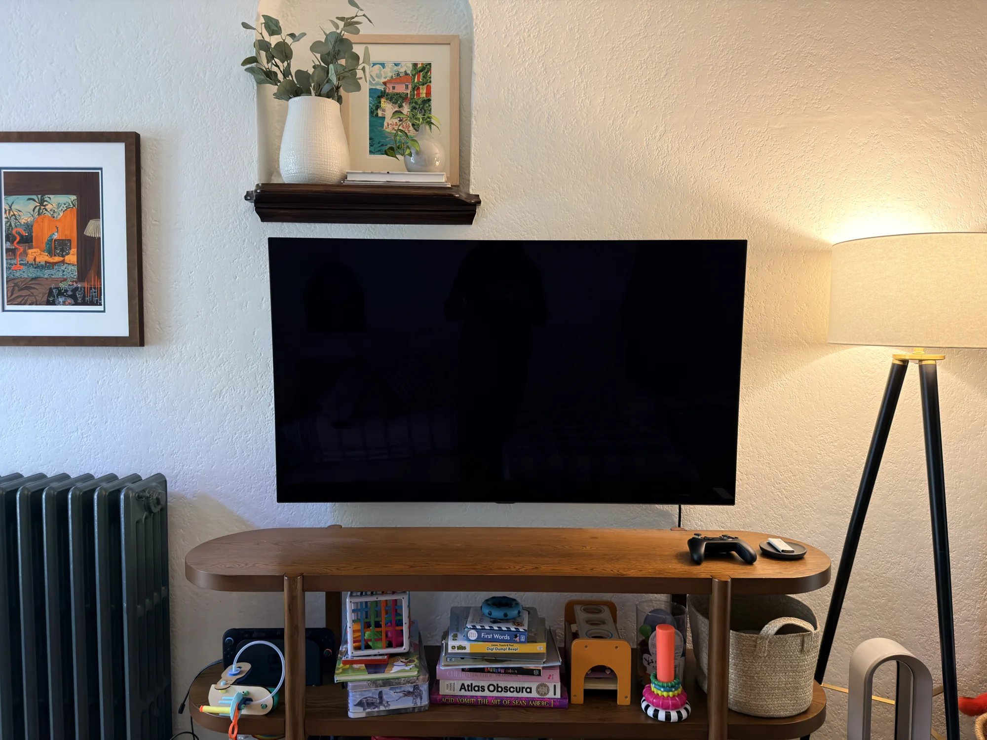 TV installation in Minneapolis