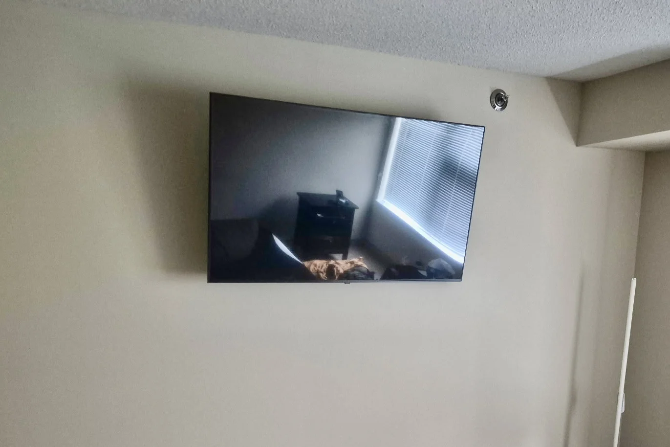65"  installation in Minneapolis