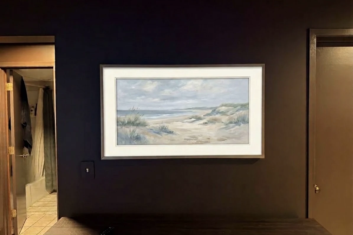 50" Hisense Canvas installation in Maple Grove
