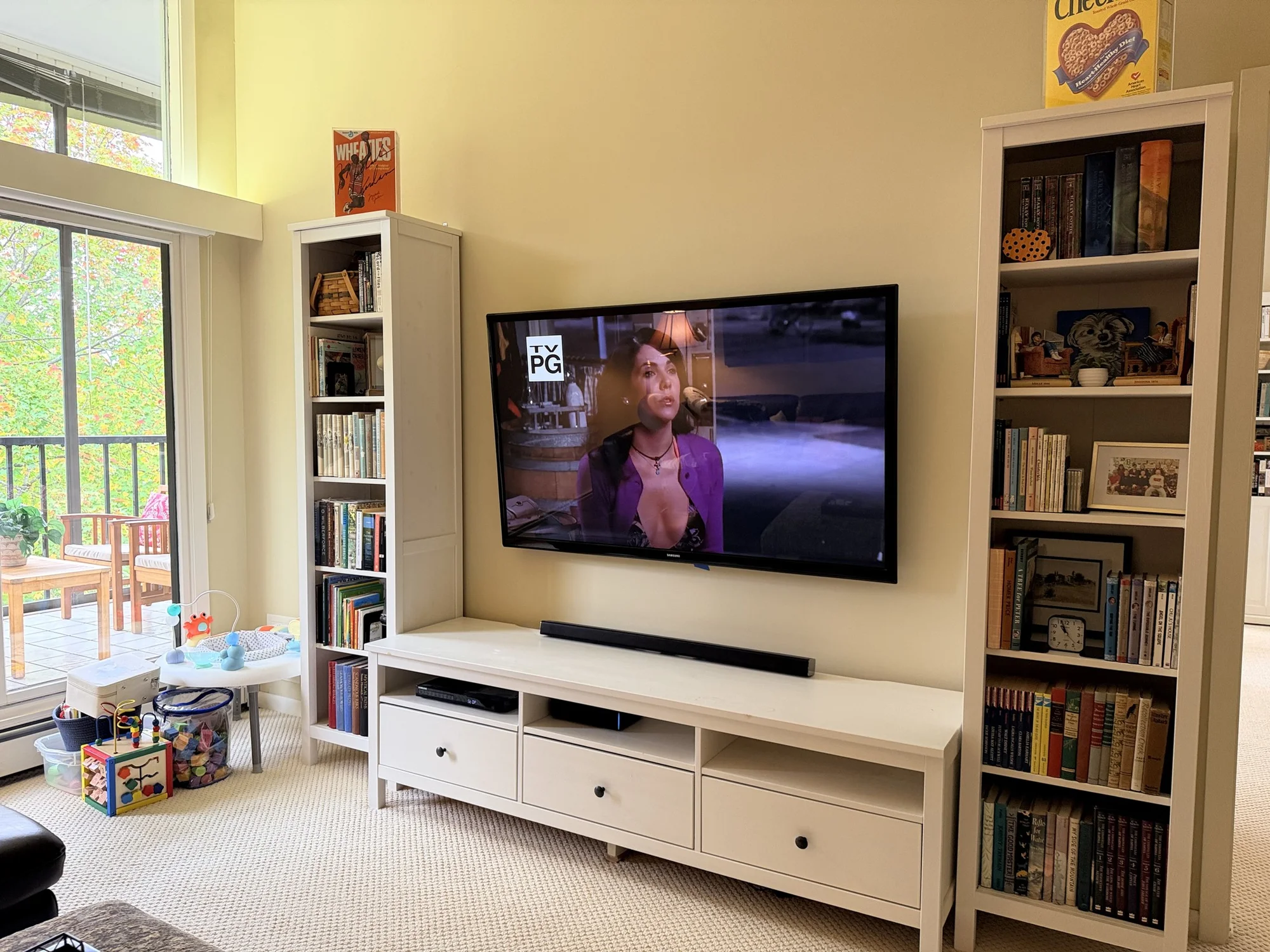65" Roku TV installation in Minneapolis