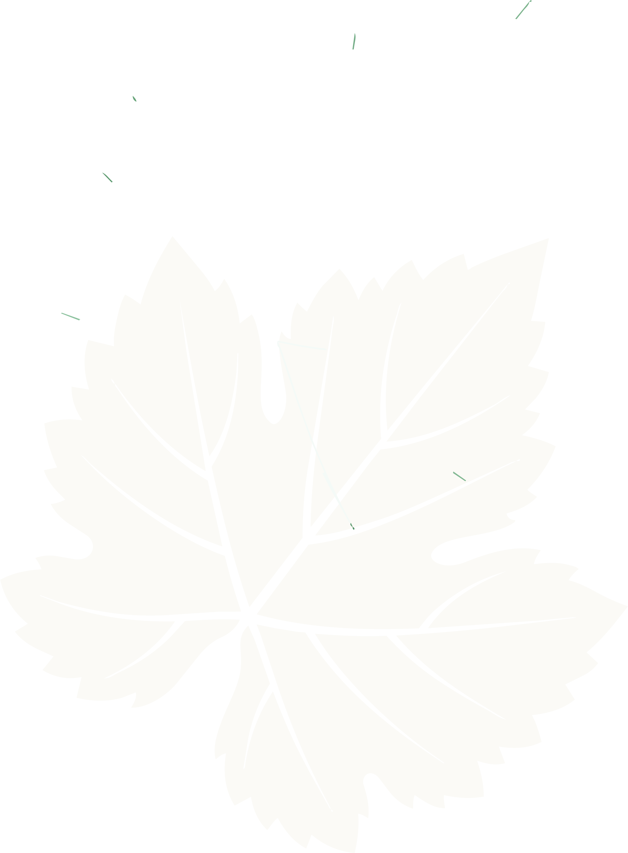 Stylized white grape leaf silhouette with prominent black veins on a transparent background.