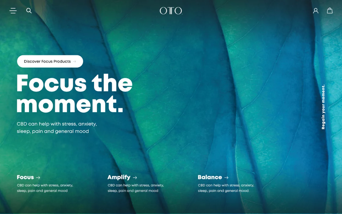 Website homepage with a blue-green leaf background and bold text 'Focus the moment.' promoting CBD products for stress, anxiety, sleep, pain, and mood.