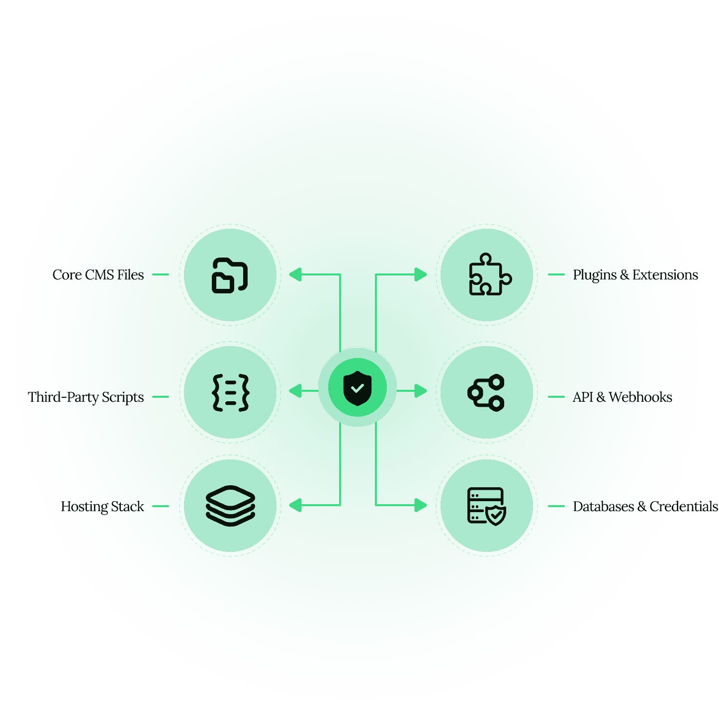 Infographic showcasing Core CMS Files, third party scripts, hosting stack, plugins and extensions, api and webhooks and database and credentials flowing into the disaster recovery audit provided by Bing Digital