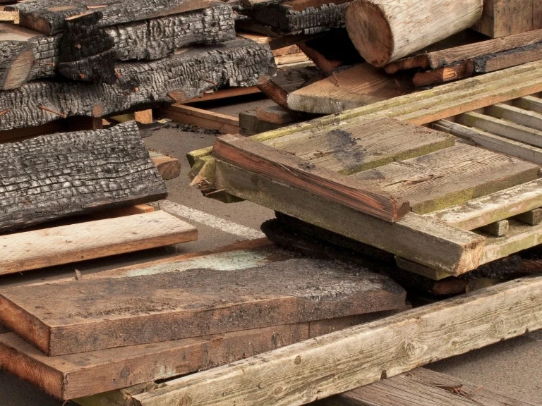How to Dispose of Wood Waste: Recycling Urban Wood in Toronto