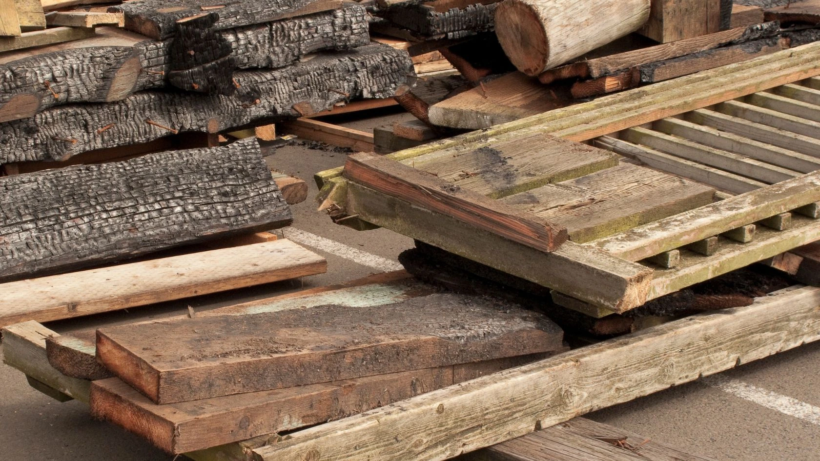 How to Dispose of Wood Waste: Recycling Urban Wood in Toronto