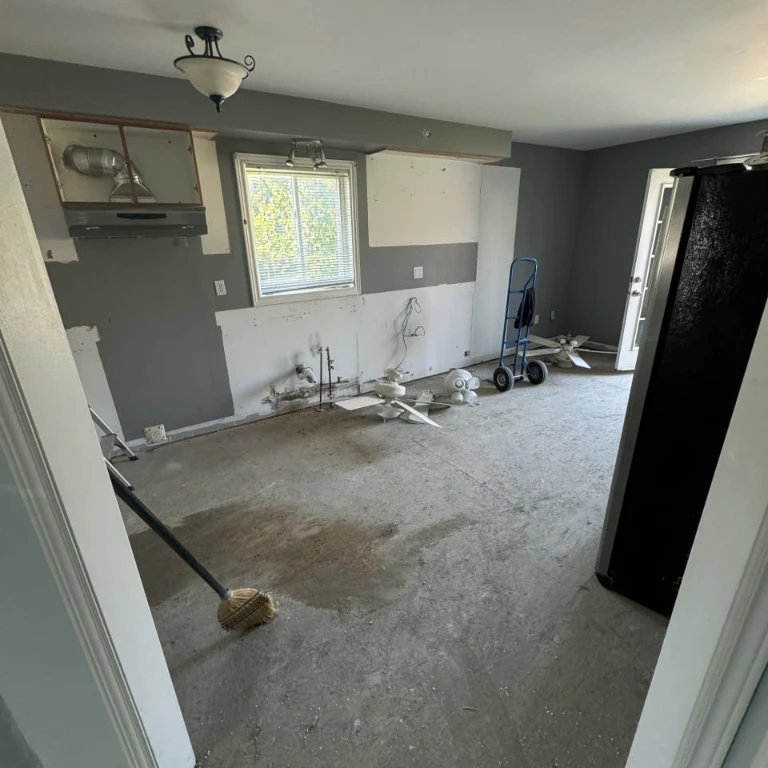 Flooring & Appliance Removal