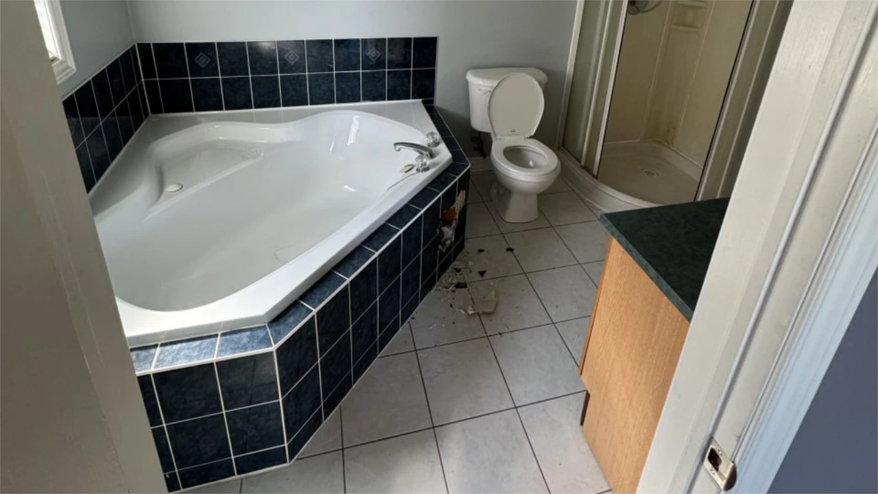 Flooring and Appliance Removal in Aurora