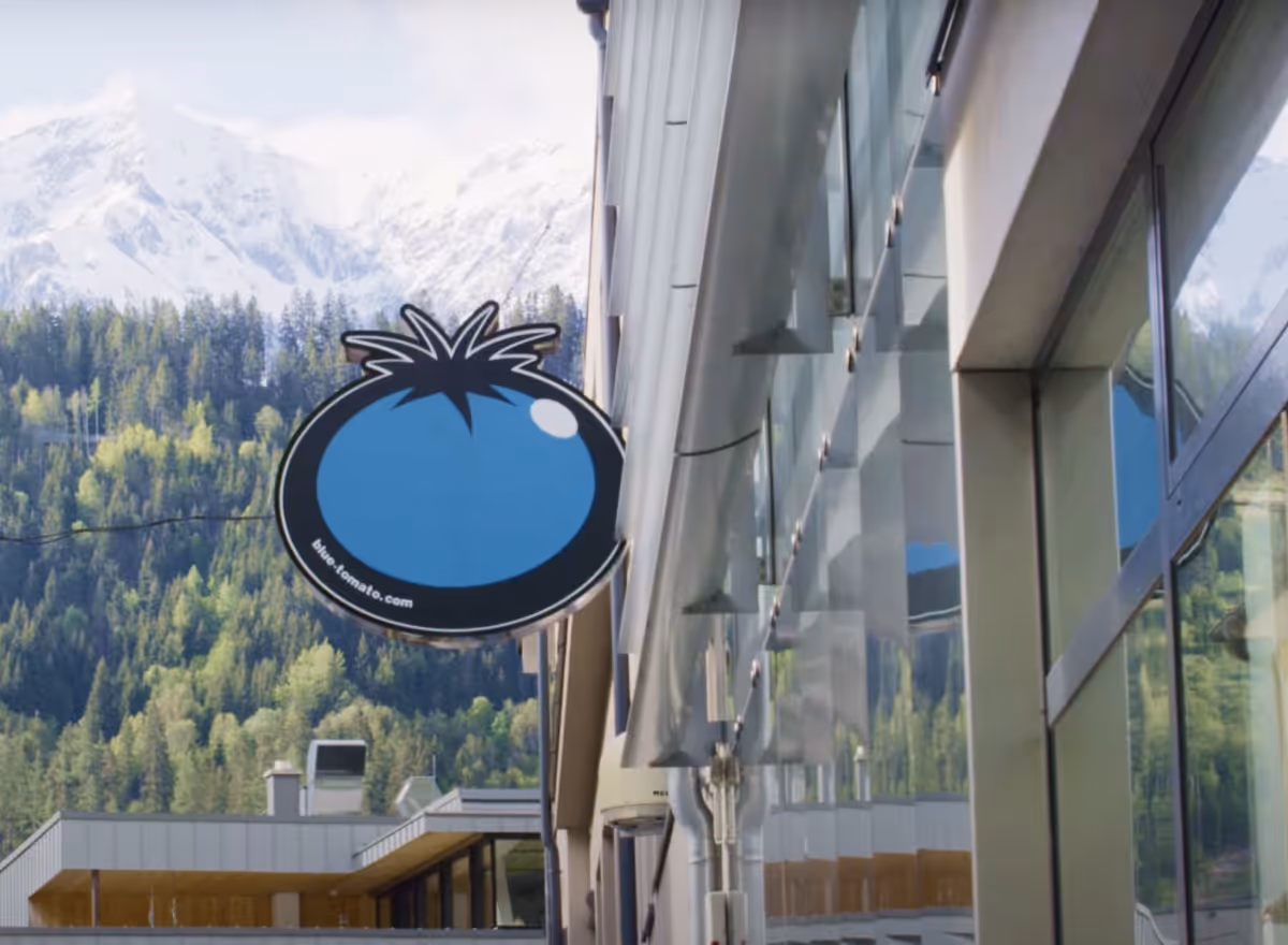 Wie Blue Tomato mit CoachHub die Mitarbeiterentwicklung neu definiert