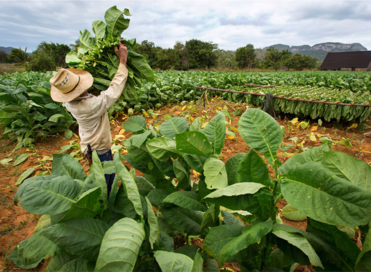 JTIのアジャイル変革：コーチングを活用したデジタル・ラーニングと従業員育成