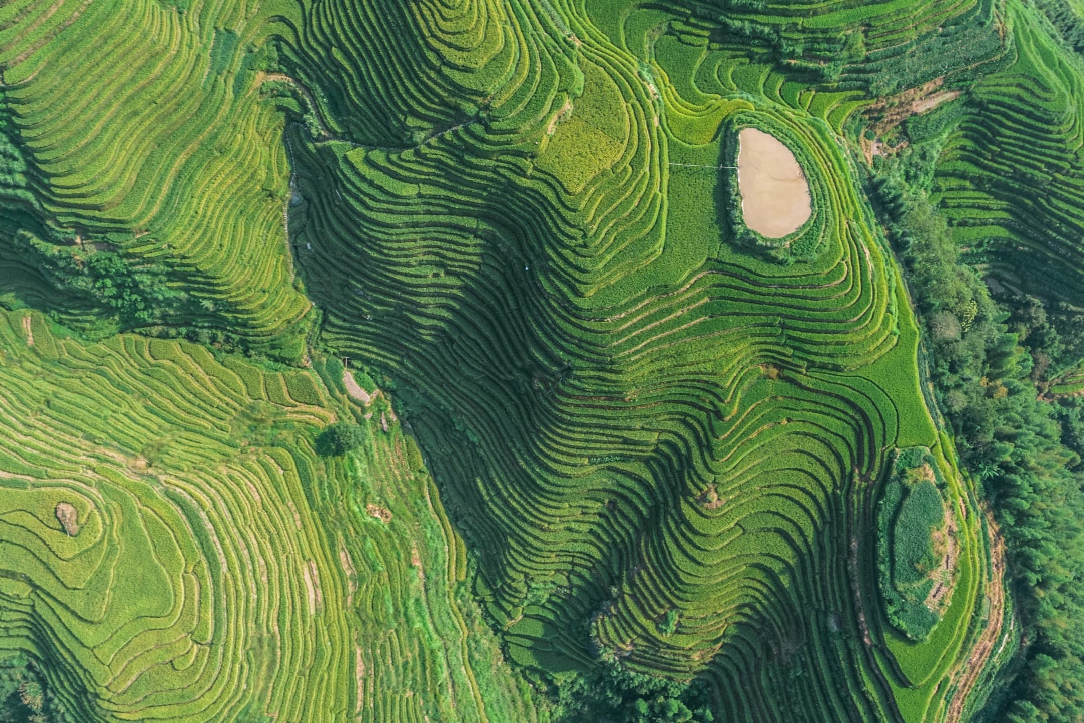 Entdecken Sie 5 Ansätze um Nachhaltigkeit auf globaler Ebene wirksam, schnell und umfassend in Ihrer Organisation zu gestalten.