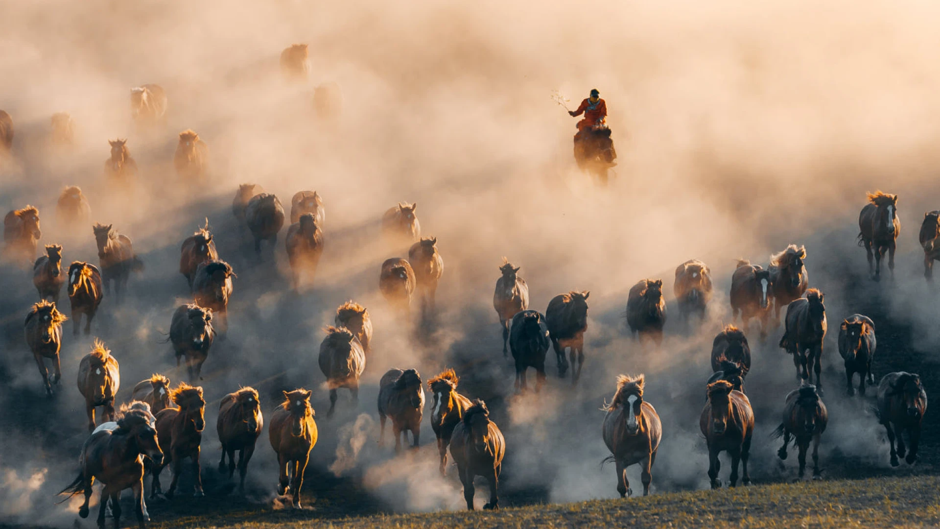 Go Mongolia
