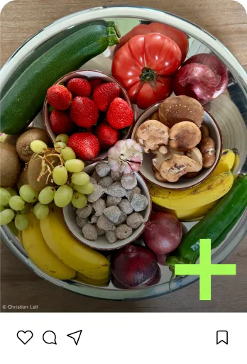 Verschiedene Früchte und Gemüse in einer Schüssel, darunter Erdbeeren, Trauben, Bananen, Tomate, Zucchini, Pilze, Kiwis und rote Zwiebeln.