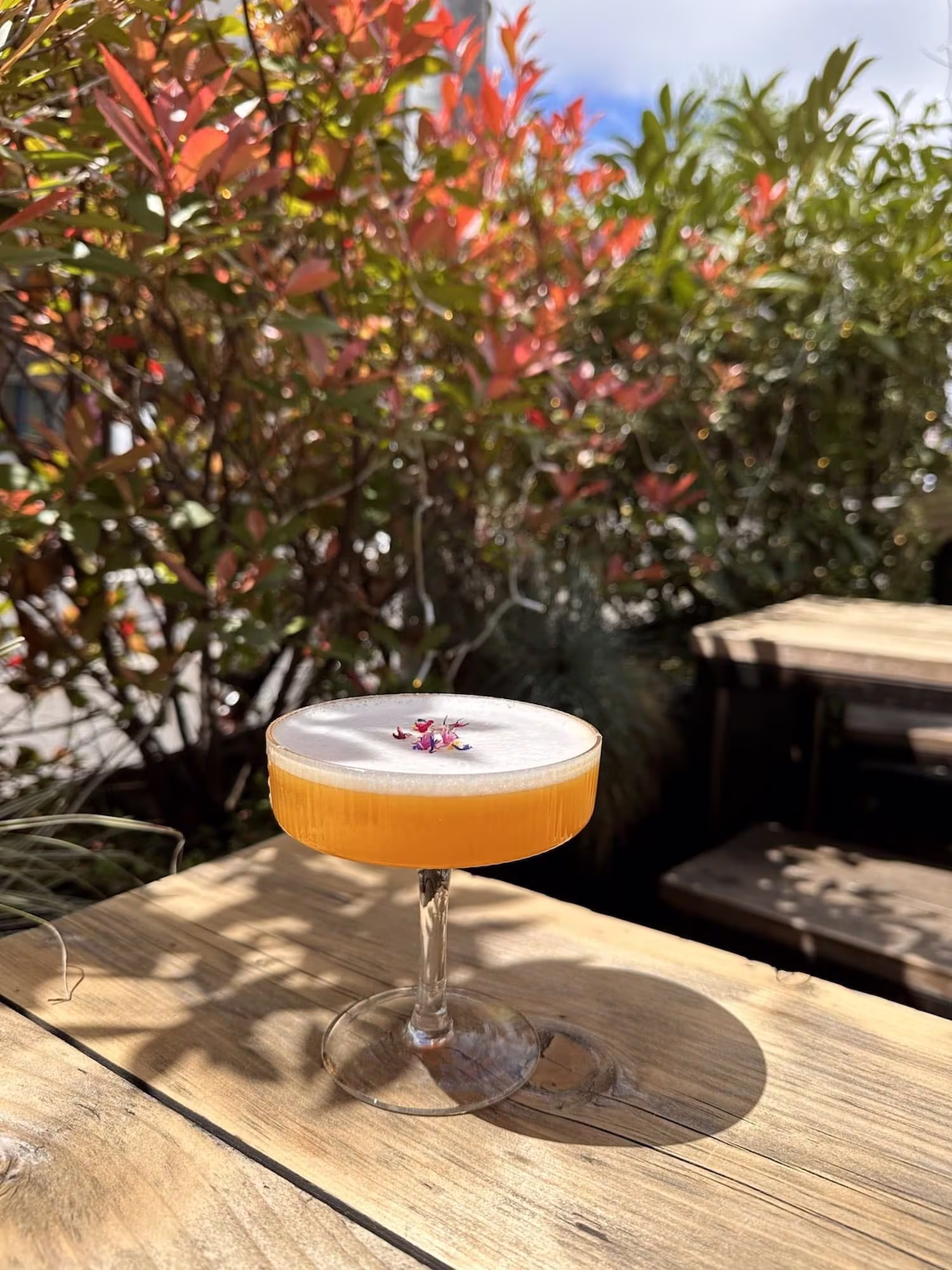 Cocktail Pisco sur la terrasse du restaurant Le Jules-Edouard à Genève