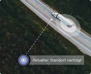 Sofortige GPS-Ortung