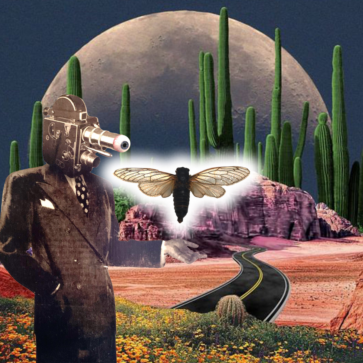 Air Is Human – 17 Year Cicada cover art