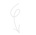 Hand-drawn curved arrow pointing down