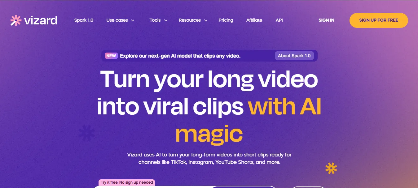Vizard