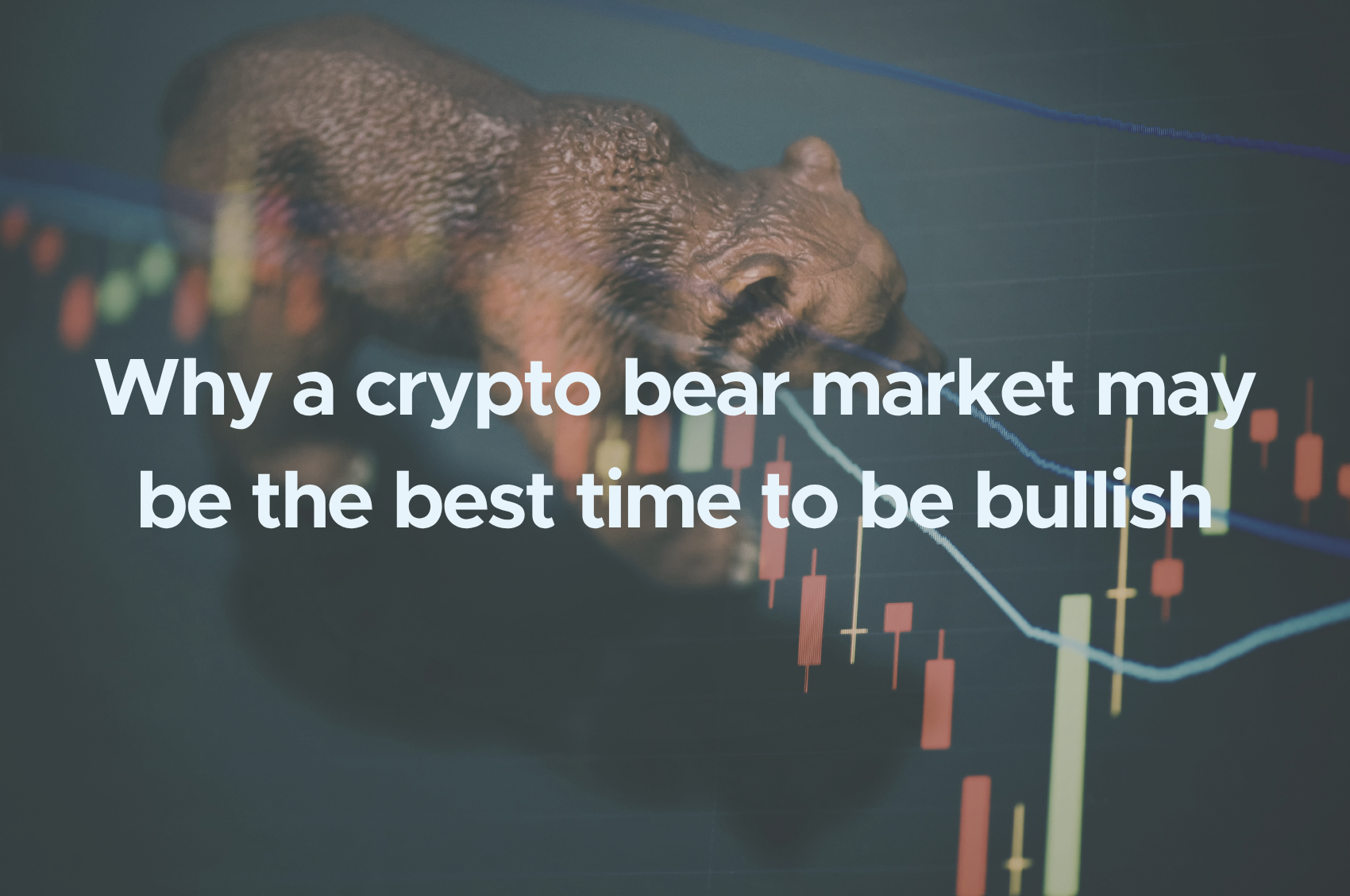 Five things to know about spending with CobWeb Pay