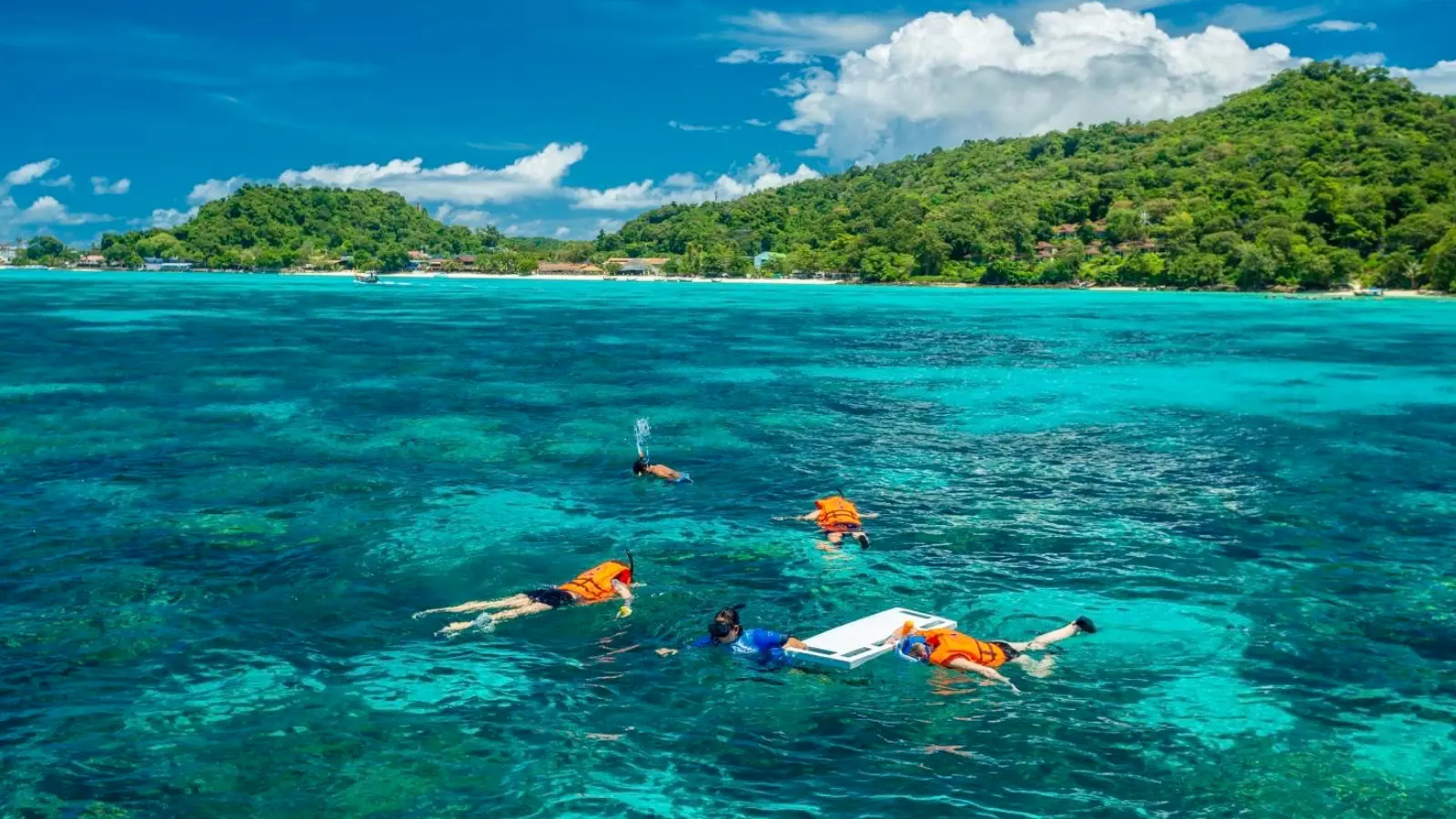 Phi Phi Islands Snorkeling Guide