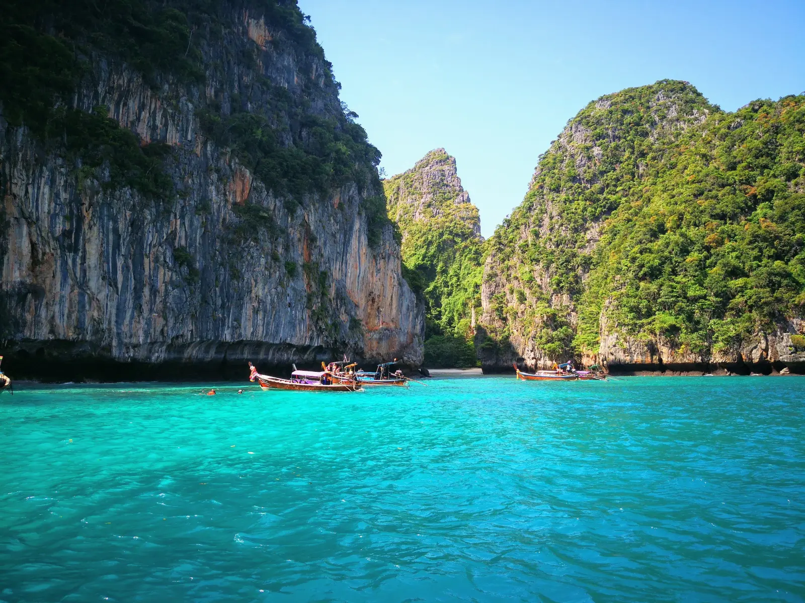 Phi Phi Island Rules: Maya Bay, Monkeys, Plastic and Boats
