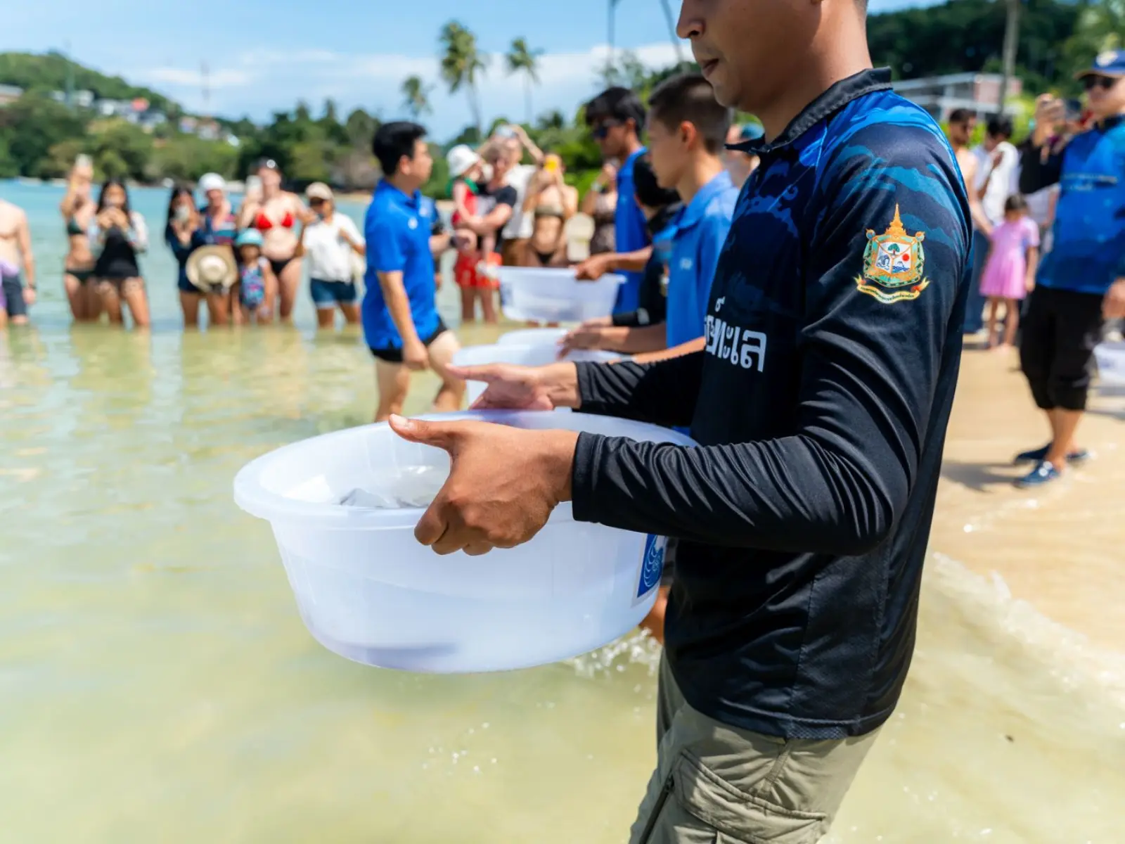 Marine conservation staff carrying juvenile sharks to the sea for release during a conservation activity in Phuket