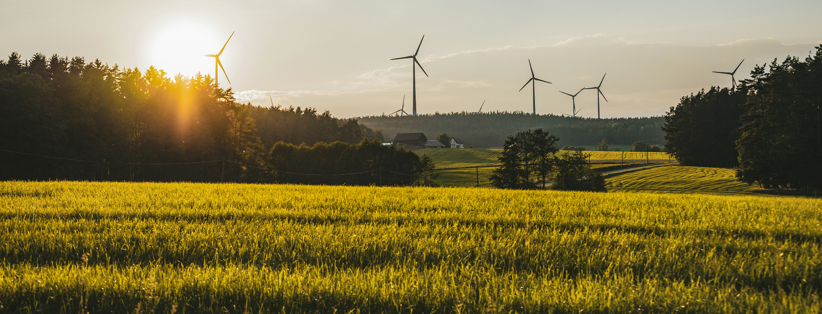 Renewable Exchange vs. PPA auctions: What’s the best way to sell your power?