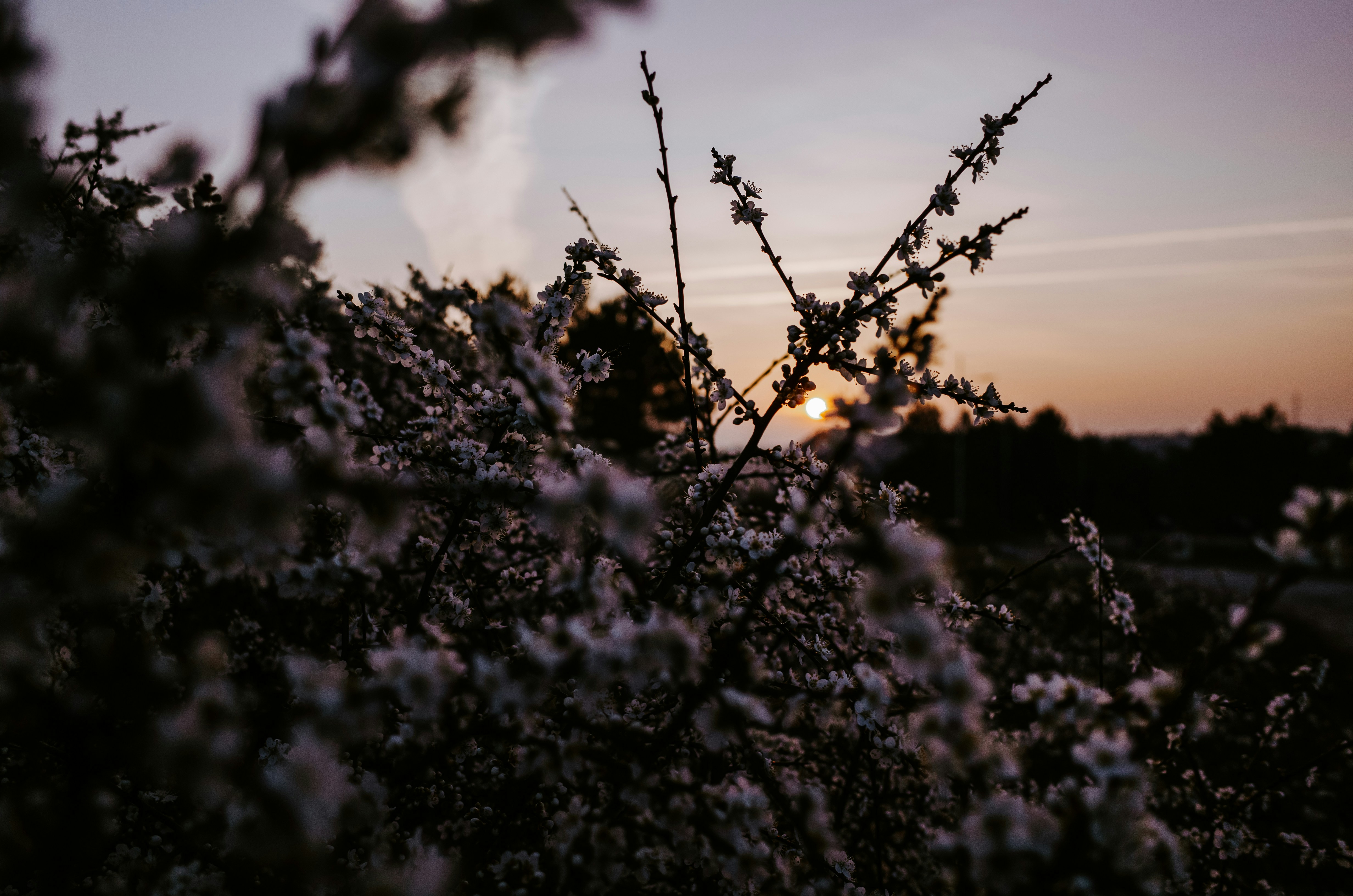 Fixed, flexible, floating or variable PPAs: What's the difference?