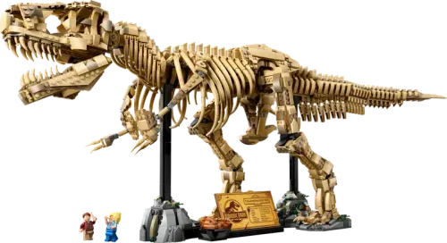 Dinosaur Fossils: Tyrannosaurus rex