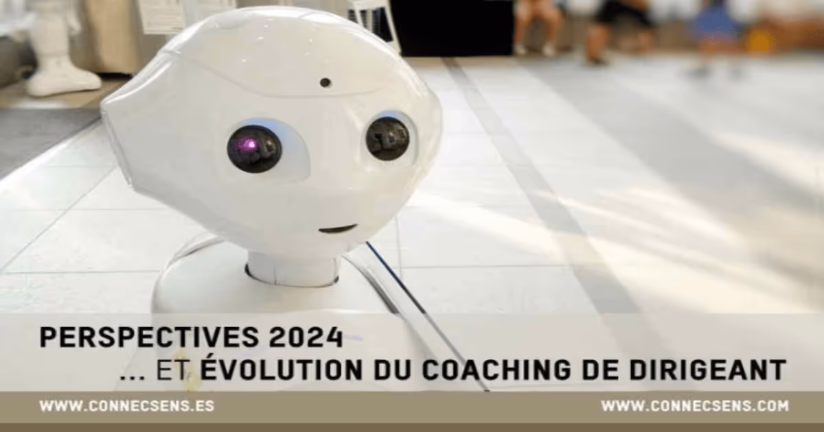 FAITES ÉVOLUER VOS PRATIQUES DE STRATÉGIE ET DE LEADERSHIP AVEC CONNEC’SENS