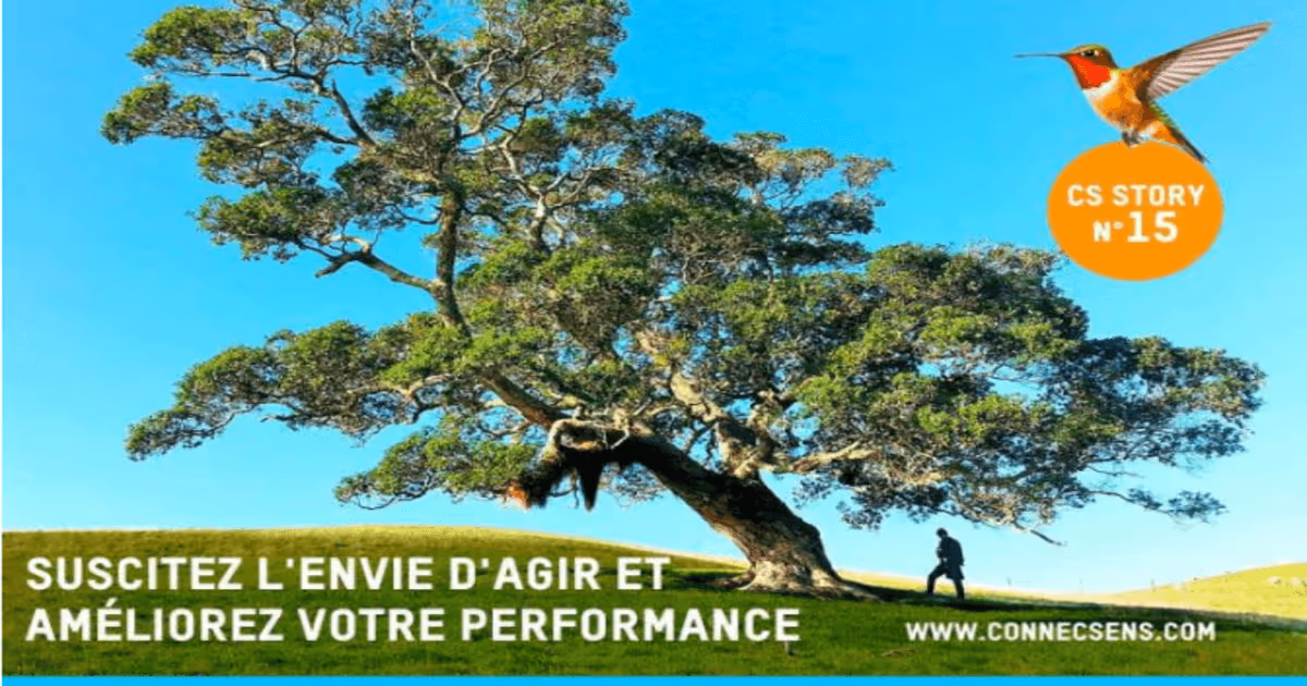 Arbre du voyageur et colibri – symbolisent la motivation, le leadership inspirant et l’action collective