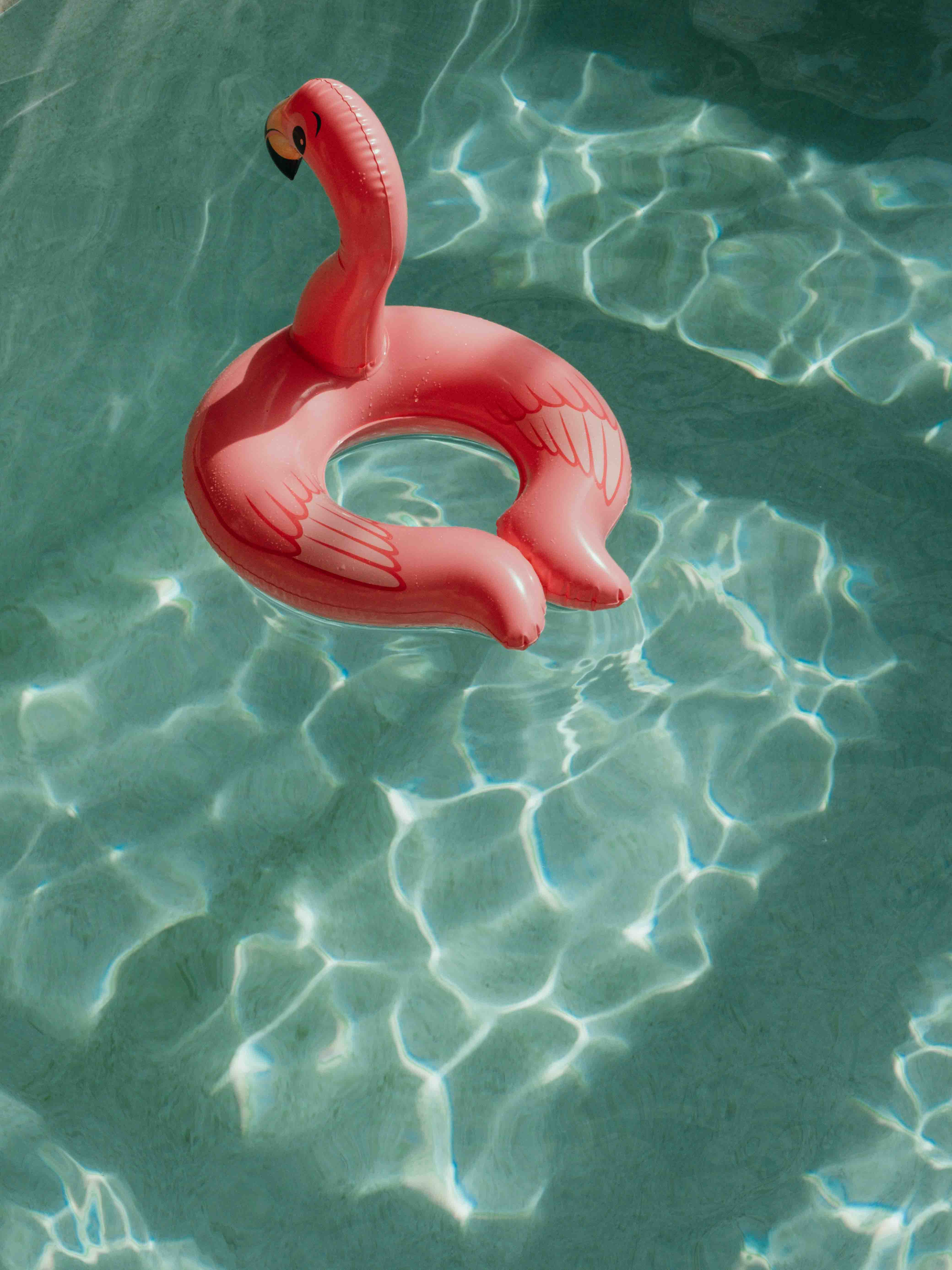 Piscine pour fêtes privées