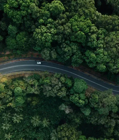Car driving on curved road through dense forest.