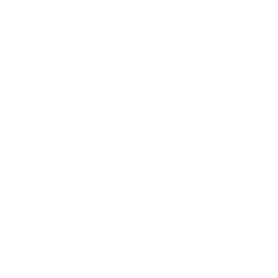 White house outline with a plus sign indicating add or new home.