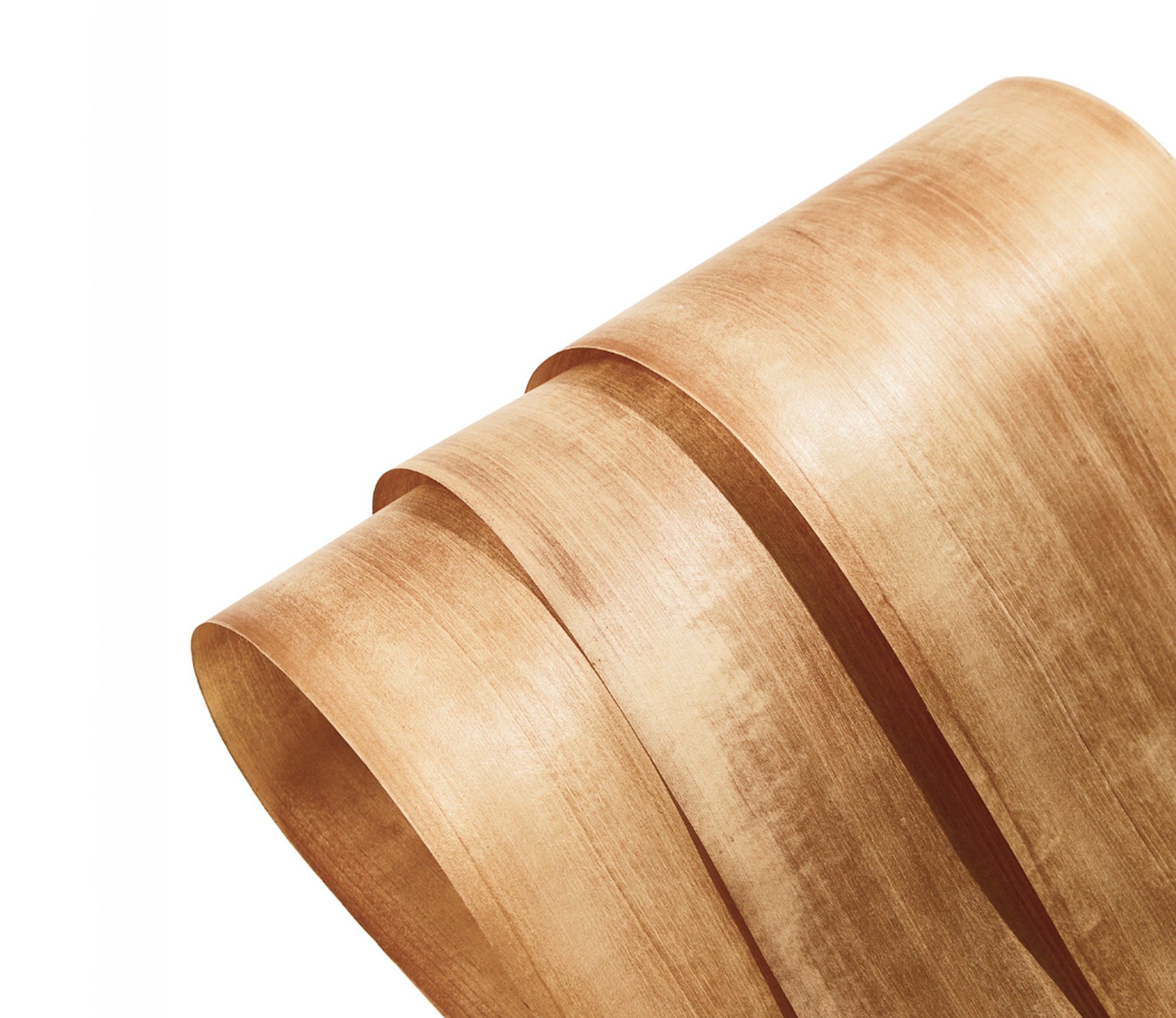 HiWood on display, showing continuous wood fiber reinforcement engineered in paper format.