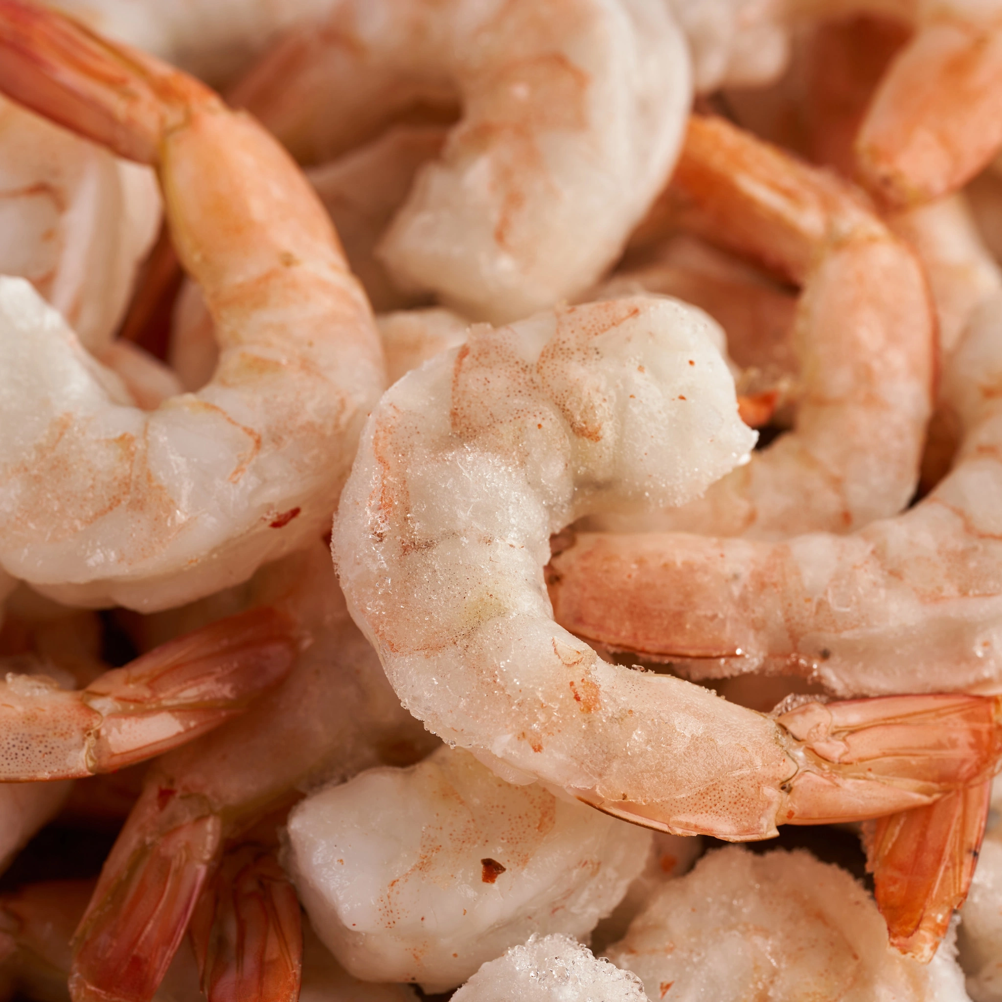 Close-up of individually quick frozen shrimp with light frost coating demonstrating high-quality IQF seafood processing results