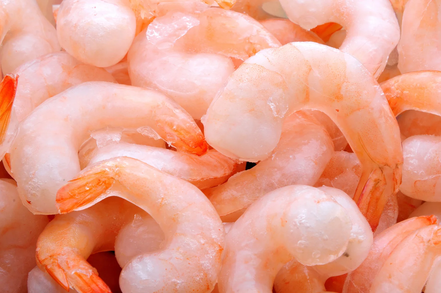 Ice glazed shrimps after cryogenic freezing