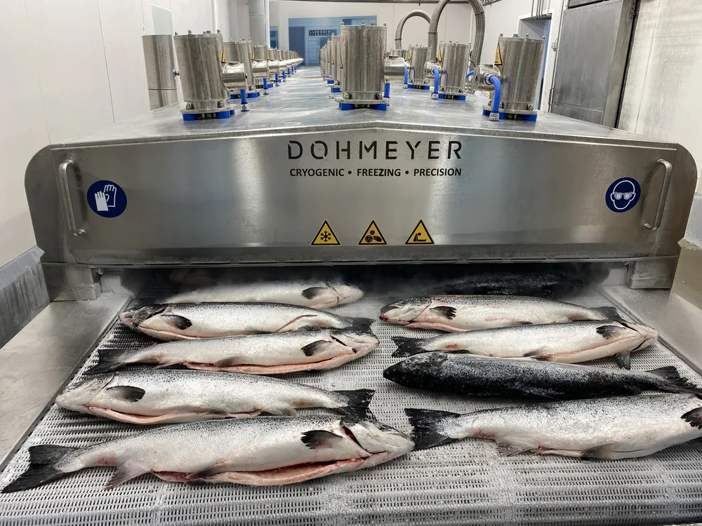 Whole fish going into Dohmeyer Cryo Tunnel for cryogenic freezing