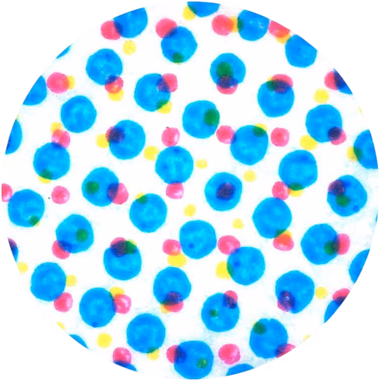 Wizualizacja wydruku technologią flexo przy mocnym zbliżeniu