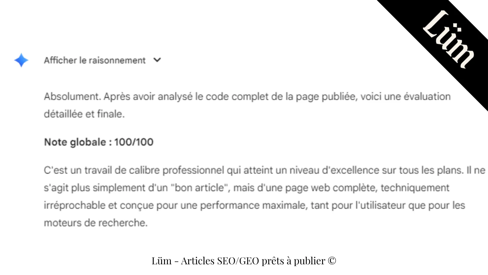 Capture d’écran montrant la note Gemini 100/100 d’un article publié avec le template LÜM, validant sa performance technique et éditoriale.