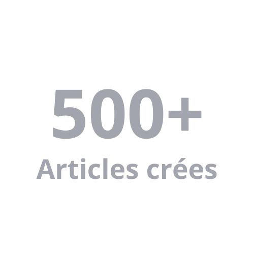 Texte indiquant plus de 500 articles livrés.