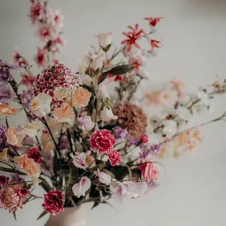 Nahaufnahme einer zarten Blume – Symbol für natürliche Schönheit und Sanftheit.