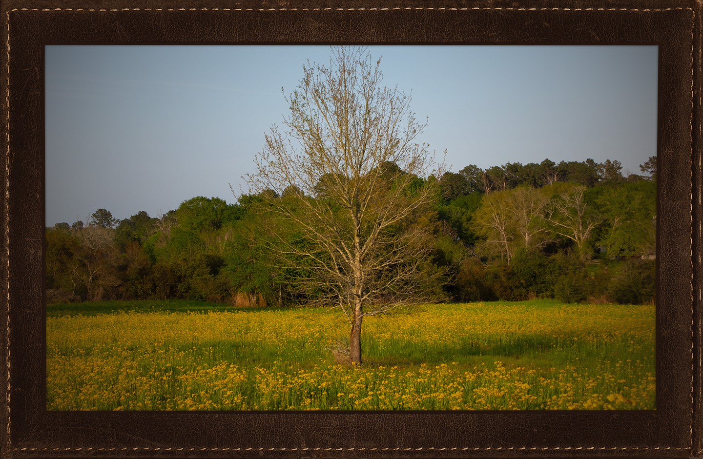 Brenham, TX