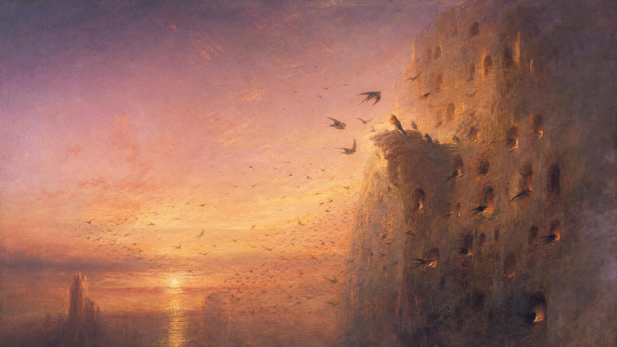 Swallows sweep into a rose-lit cliff dovecote at dawn, most diving straight to their nests, a few pausing beside a solitary elder bird.