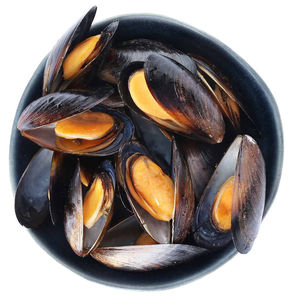 Cooked mussels in pan