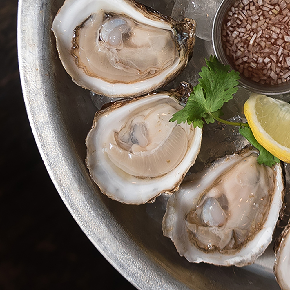 Bluepoint oysters on the half shell plated