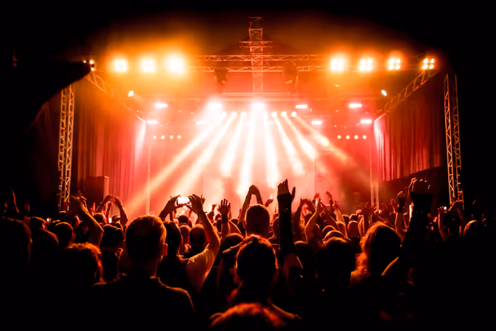 concert crowd